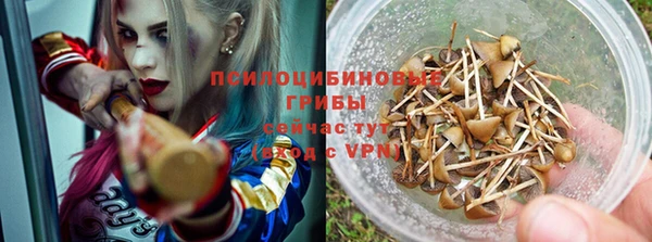 винт Бердск