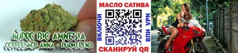 Дистиллят ТГК Wax гидра маркетплейс Сочи