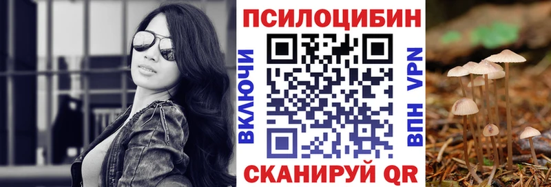 Псилоцибиновые грибы Cubensis  Сочи 